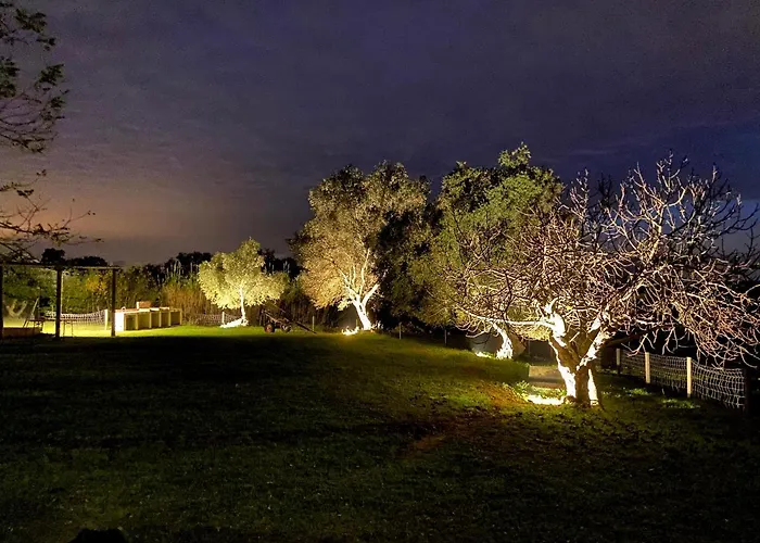 Llorens Llagostera