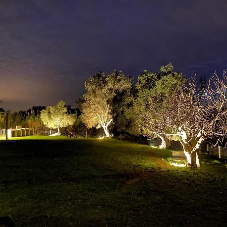 Llorens Llagostera