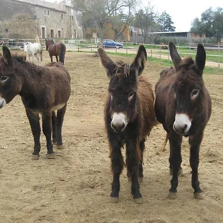 Llorens Hébergement de vacances Llagostera
