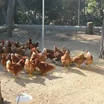 Llorens Hétvégi ház *